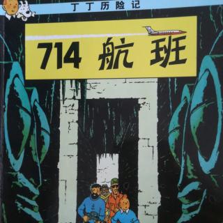 丁丁历险记了-714航班1-8