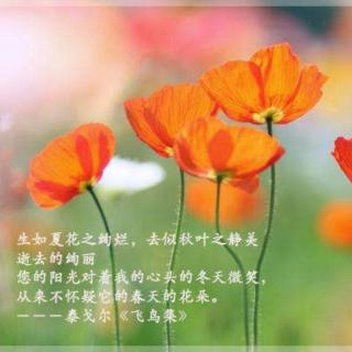 《生如夏花》🍃作者：泰戈尔