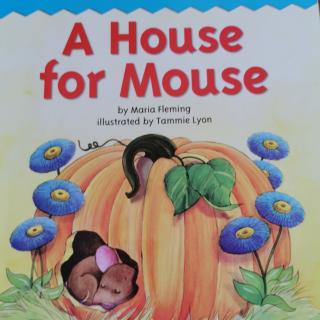 A House for Mouse