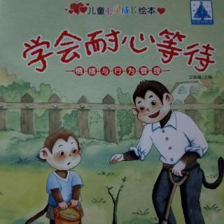 学会耐心等待