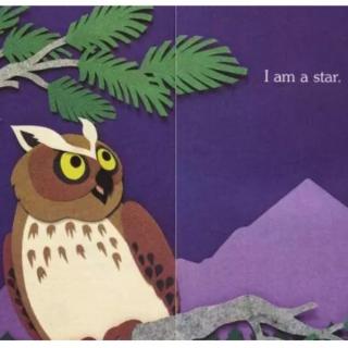 《I am a star 我是一颗星星》——耶鲁富川幼儿园