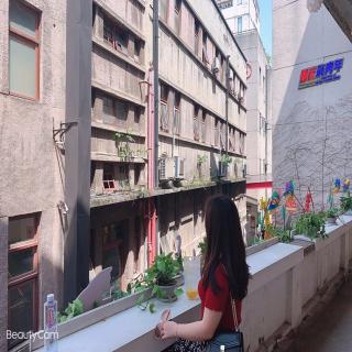 小兔子🐰找太阳☀️