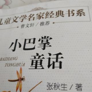 小巴掌童话