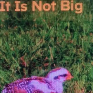 It is Not big