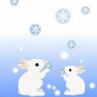睡前故事【小哥】：兔小白和兔小灰