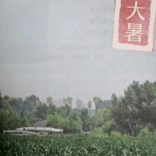 黑鹤长篇散文集《生命的季节》大暑篇  唐梨珊