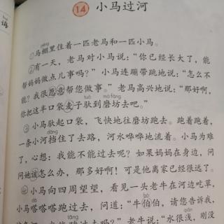 小马过河