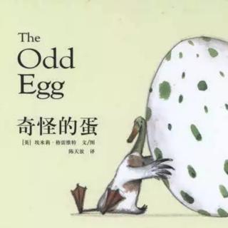 第86本绘本故事《奇怪的蛋》