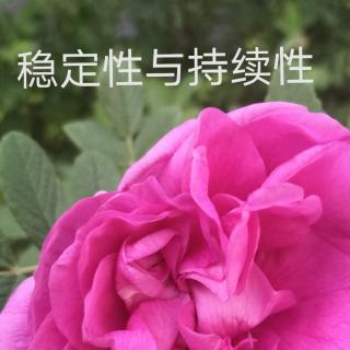 《真正的高手，在于稳定性与可持续性》