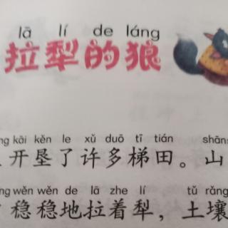 拉犁的狼