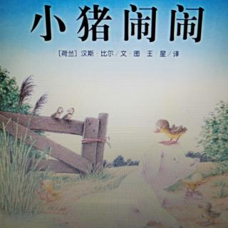 小猪闹闹