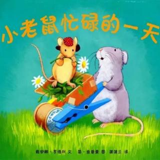 「宫娃娃幼儿园」  常丽老师  《小老鼠忙碌的一天》