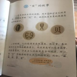 3.“贝”的故事