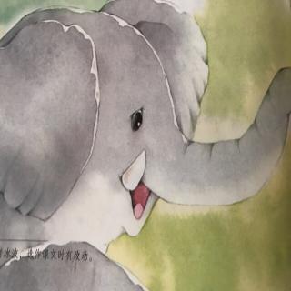 大象的耳朵🐘👂🏻