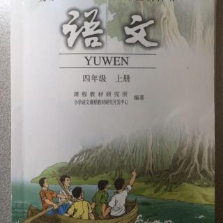 6 爬山虎的脚