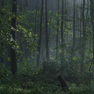 纯音乐治疗失眠的纯雨声7