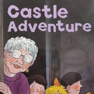 Martin-Castle Adventure