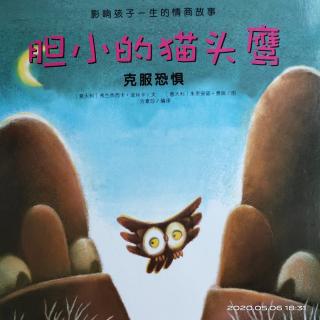 《胆小的猫头鹰🦉》克服恐惧