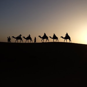 冬阳、童年、骆驼队