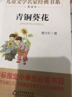 《青铜葵花》金茅草、3