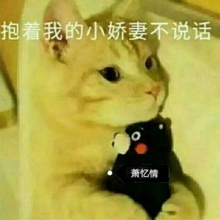 武汉高三复课