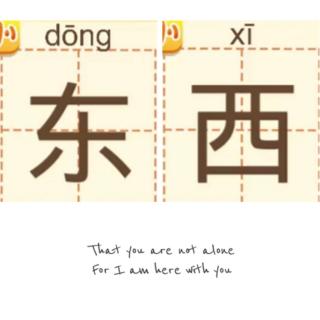 汉字(东，西)拼读音节