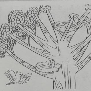 第3周 翠鸟移巢