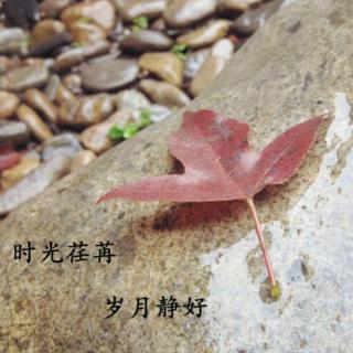 当我们老了，许时光温良，岁月静好