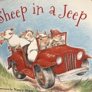 Sheep in a jeep