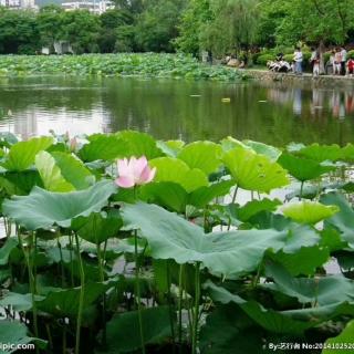 《诗二首》文/自由自在