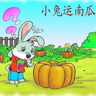 【可可写美文】 8. 二年级. 小兔巧运大南瓜