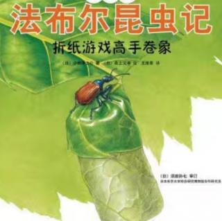 小乐老师讲故事《法布尔昆虫记—折纸游戏高手卷象》