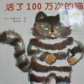 活了100万次的猫