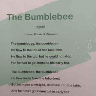 The bumblebee点点