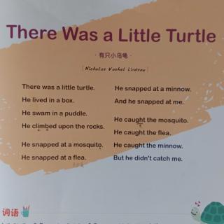 There was a little turtle点点