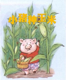 第三实验幼儿园故事推荐(第24期):《小猪种玉米》