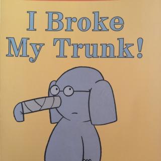 I Broke My Trunk