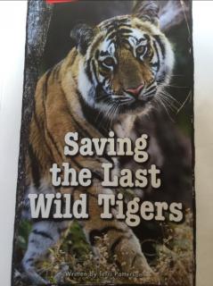 20200508 saving the last wild tigers