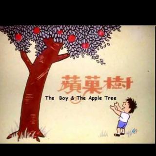 《一颗苹果树》