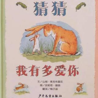 《猜猜我有多爱你》