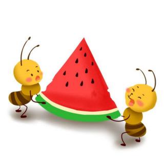 蚂蚁🐜和西瓜🍉