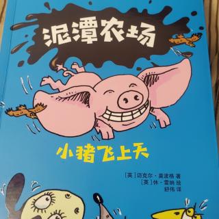 泥潭农场－小猪🐷飞上天(牧羊犬吉戈今天放假)