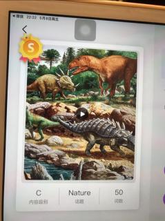 Many kinds of dinosaurs