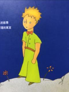 小王子第十六章