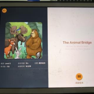 The Animal Bridge