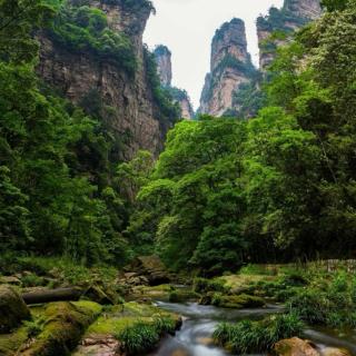 《愚公移山》节选