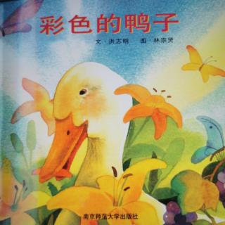 幸福的种子-彩色的鸭子