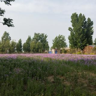 京瓷哲学 5月9日