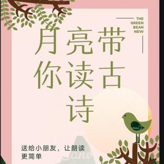 月亮姐姐带你读古诗每日打卡第七十篇《菊花》