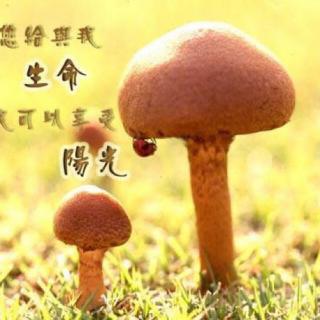 《纸片人斯坦利3》5-8章